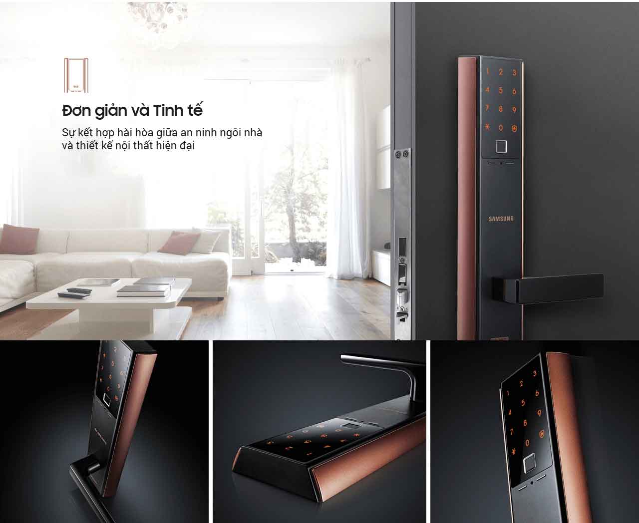SHP -DH538MC/EN